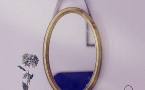 小狗咪咪照镜子作文