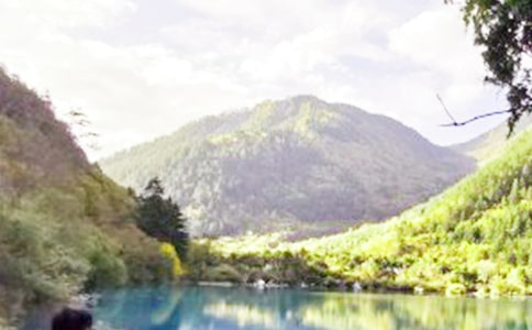 Сѧ���ġ���կ������ѧ���