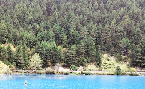 ����կ�����Ľ�ѧ��Ʒ���