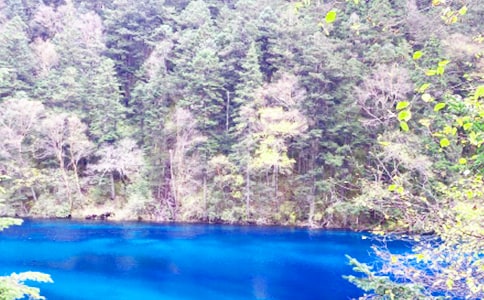 九寨沟的教学反思范例