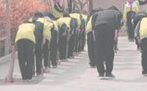 鞠躬爱国者们作文500字