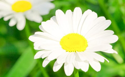 ��ϲ��Ұ�ջ���������400��