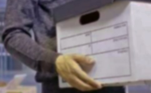 关于开除员工通知(精选12篇)