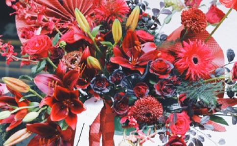 朋友生意新开张的`祝贺词