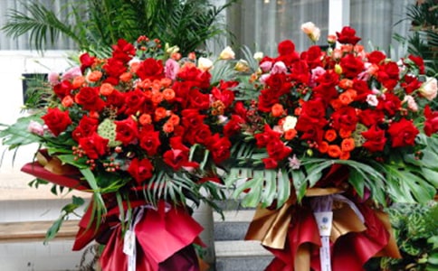 �µ꿪�����뺯