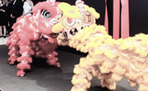 �µ꿪�Ŵ��������