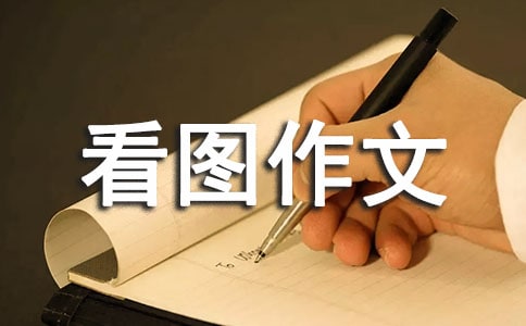 【精选】看图作文300字汇编10篇