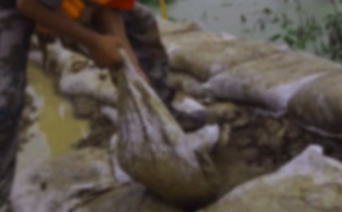 ���������Ѵ����Ӧ��Ԥ������ѡ11ƪ��