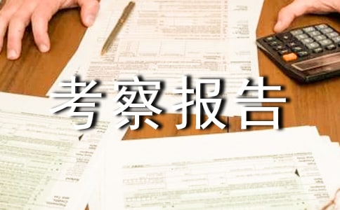 关于无锡泰阳木业的考察报告范文