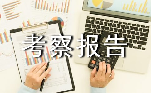 �������챨��(3ƪ)