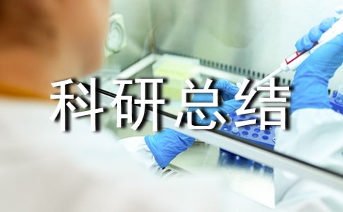 小学个人科研总结