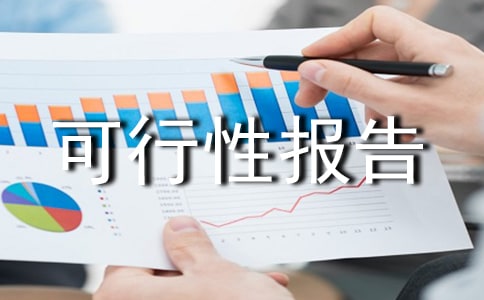 项目可行性报告范文