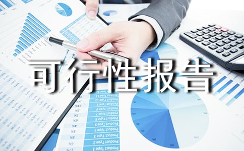 可行性报告(通用15篇)