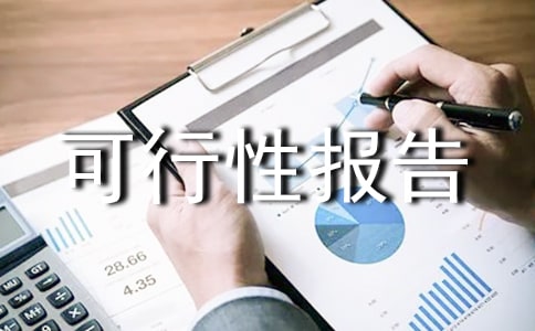 可行性报告15篇