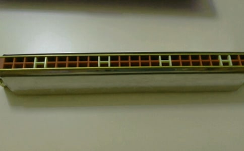 �ҵ�С����Сѧ����