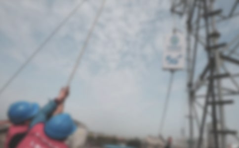 《宽带网──漫步花的世界》教学设计