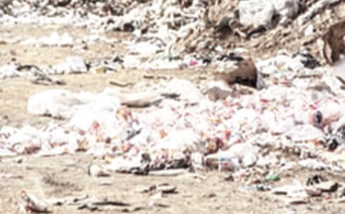 ����û������ʱ�����־����