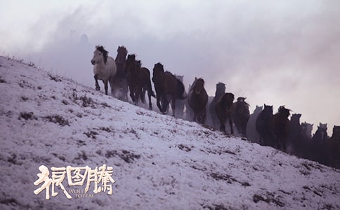 【精选】狼图腾作文600字三篇