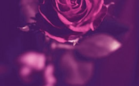 �������۸������(4ƪ)