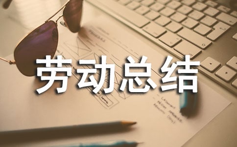 寒假居家劳动总结(精选7篇)