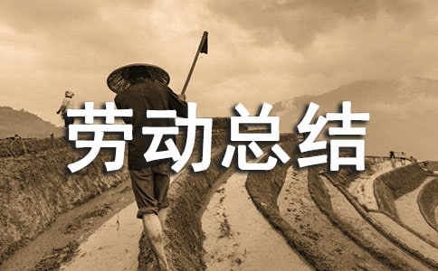 劳动课劳动总结(精选5篇)