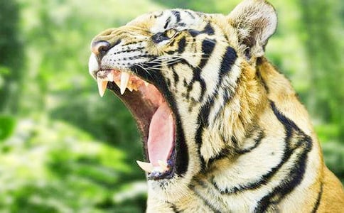 �йش����ϻ�̲���Ļ��ʮƪ