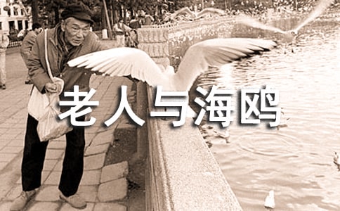 �����뺣Ÿ��ѧ��Ʒ���