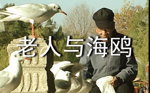 �����뺣Ÿ�Ľ�ѧ��˼