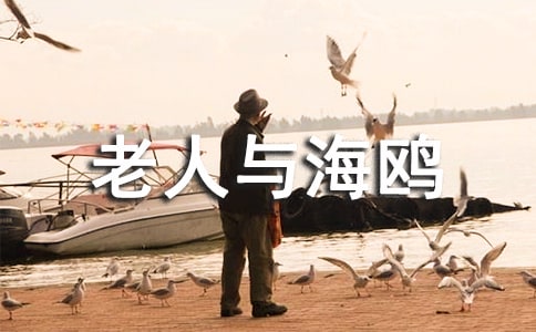 老人与海鸥优秀教学设计(通用5篇)