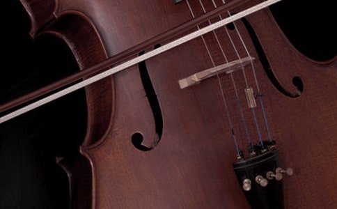 �ҵ�С��������������