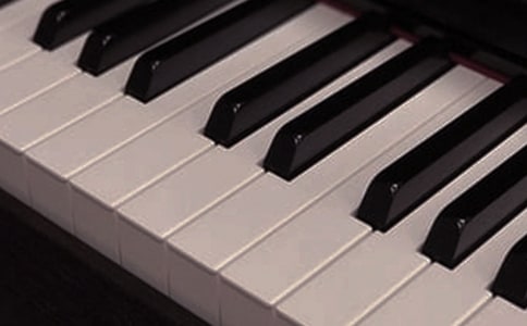 ����������ͬ