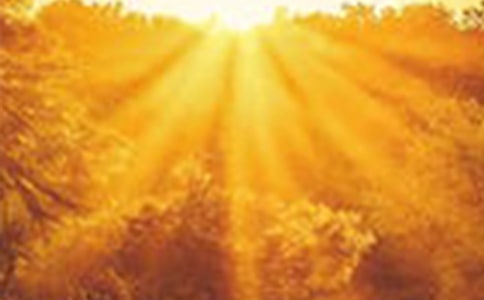 黎明的作文300字六篇