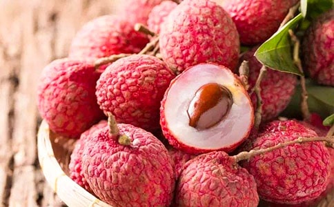 ���ġ���֦����ѧ��˼