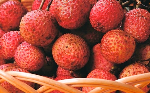 ��֦��ѧ���