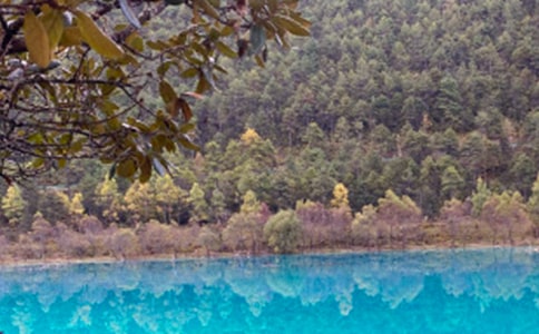 �����ųǵ��δ�500��