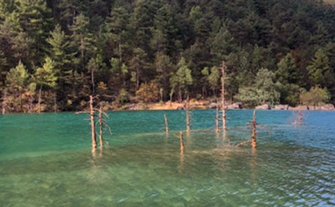 ����֮��ʫ��