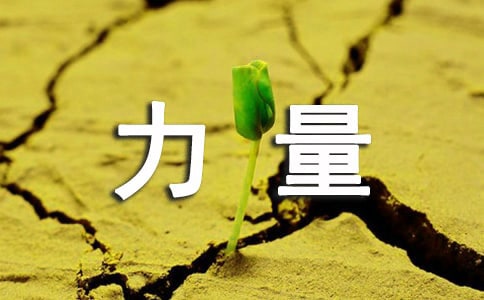 �����������������з���400��