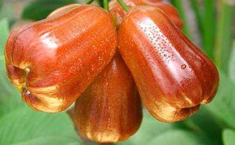 ������������Ķ���