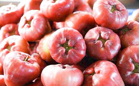 ժ����-��������600��