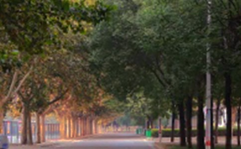 ����������ϵ�ɢ��