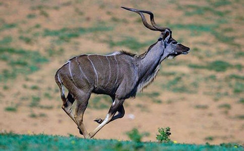 ����ľ��Ķ���У���ѡ21ƪ��