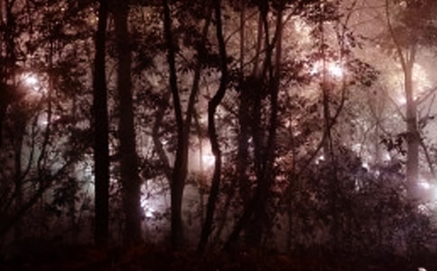 凌晨三点醒了睡不着的句子