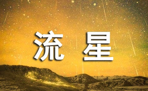 看流星作文300字3篇