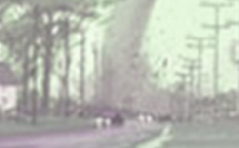 养个龙卷风当宠物_800字