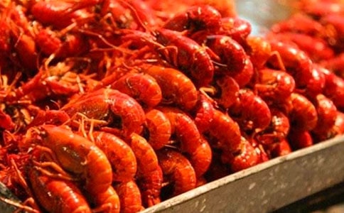 钓龙虾写事作文300字