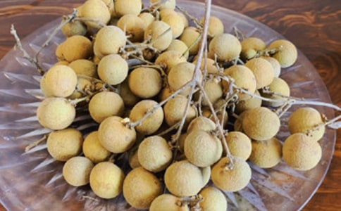 ����������(ͨ��15ƪ)