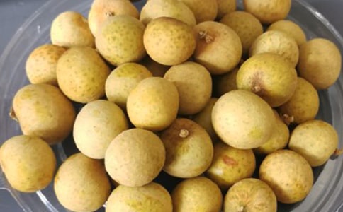 ���������ľ�ƪ