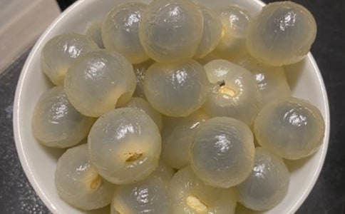 精选家乡的龙眼作文300字(通用24篇)