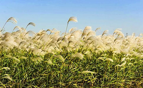 ������«έ������