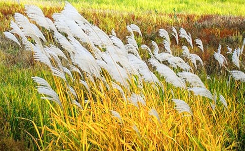 «έ������������